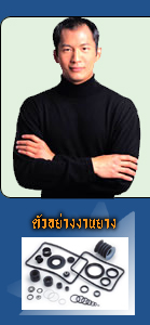 Welcome to T.P. Rubber Industry Web Site